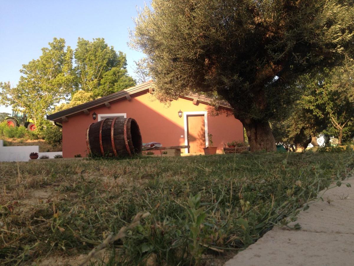 Apartment Collamato