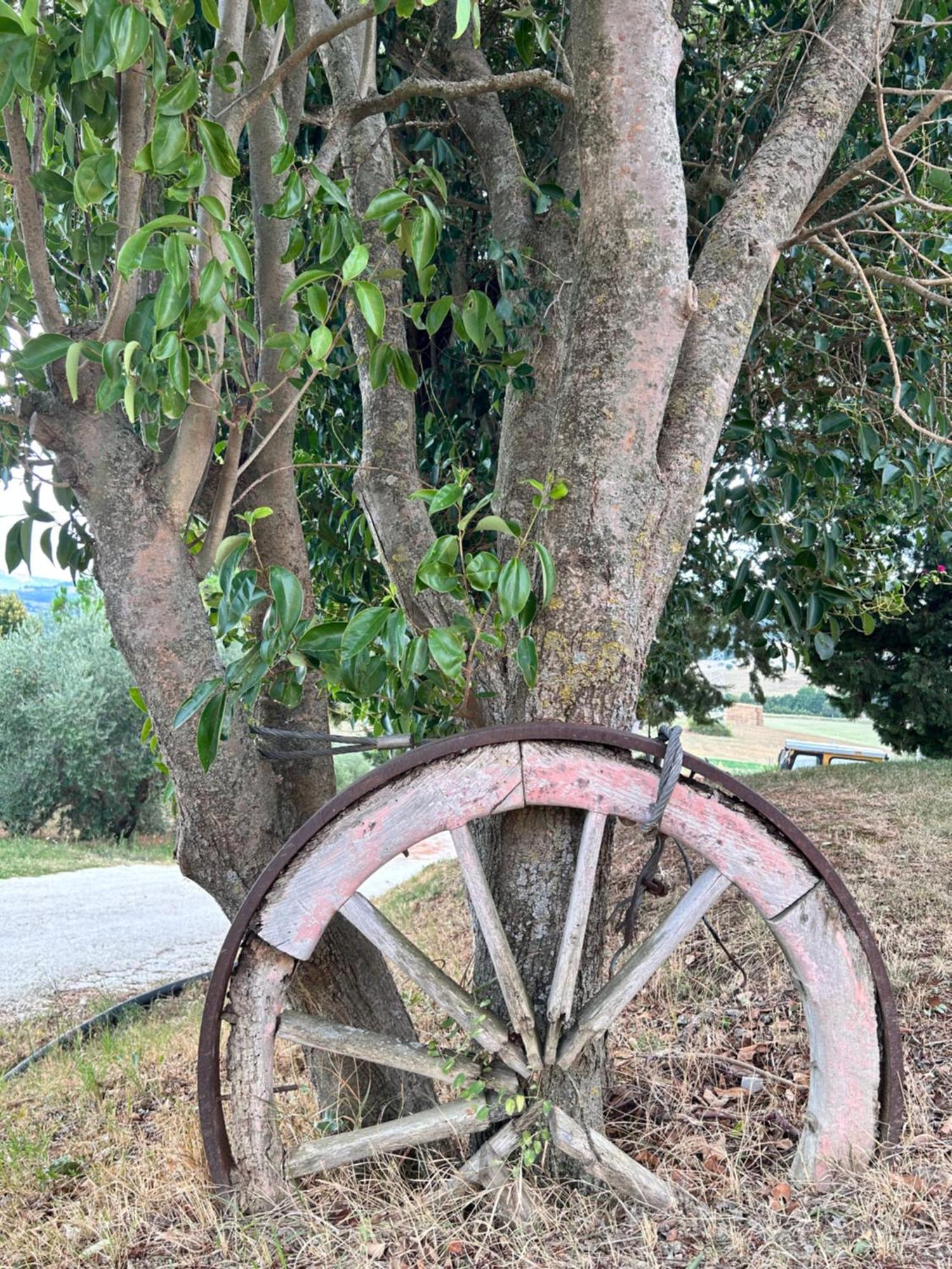 Collamato * San Severino Marche
